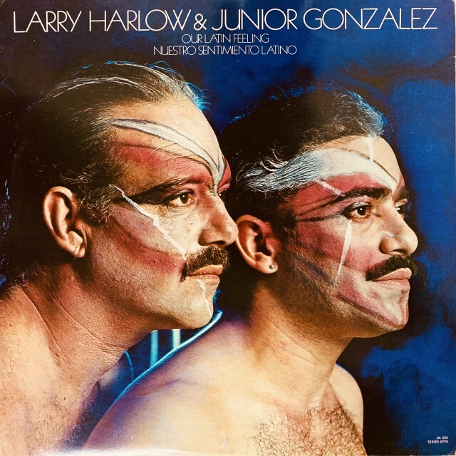 LATIN】-中古レコード- レア盤含むラテンの中古レコードが80点以上入荷