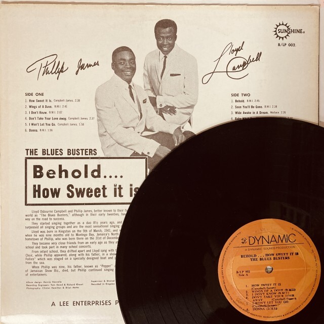 REGGAE】-新着中古レコード-本日の新着中古レコードはこちら！レゲエ名