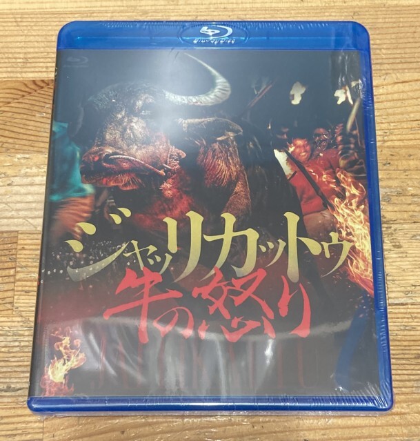 2026/6/6(土)中古ホラー/カルト/スリラー映画特集開催！ : ディスク
